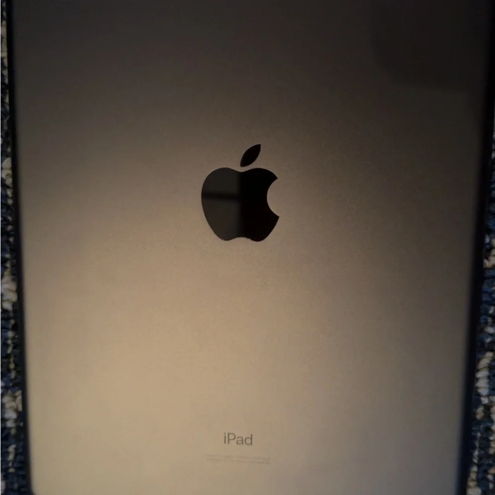 Apple Gray Tablet with Vibrant Display